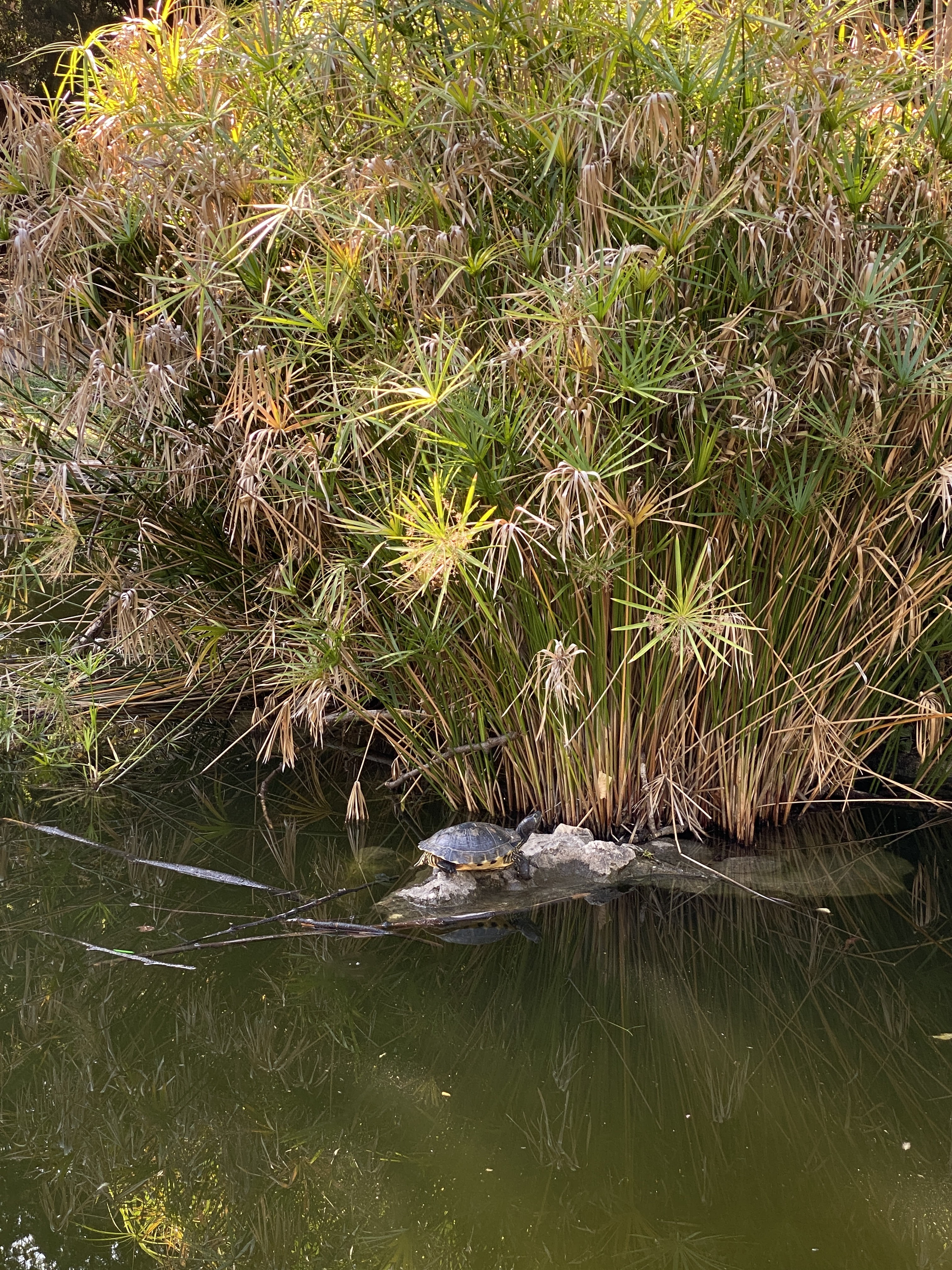 Photo n° 1 de l'avis de Rob.o fait le 11/10/2023 à 17:19