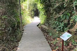 Macritchie Prunus Trail image