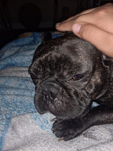 Jeweler «Icebox Diamonds & Watches», reviews and photos, 3255 Peachtree Rd #2, Atlanta, GA 30305, USA