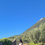 Photo n°5 de l'avis de Alessandro.a fait le 04/10/2023 à 21:18 sur le  Agriturismo Scuderia Castello à Toscolano Maderno