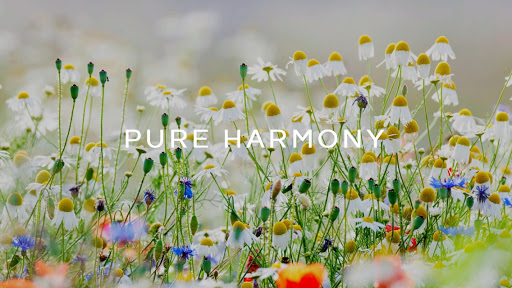 Pure Harmony LLC