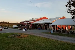 Mt Airy Orchards image