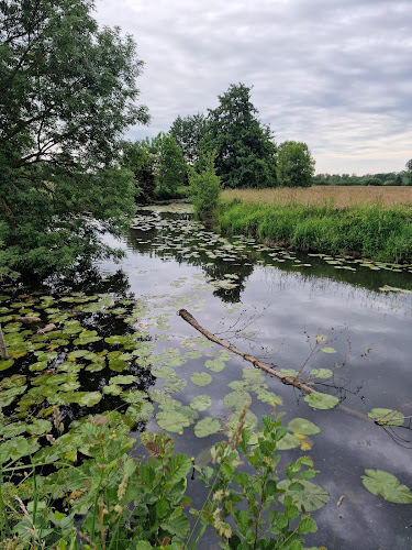 Etang des Gollions à Courville-sur-Eure