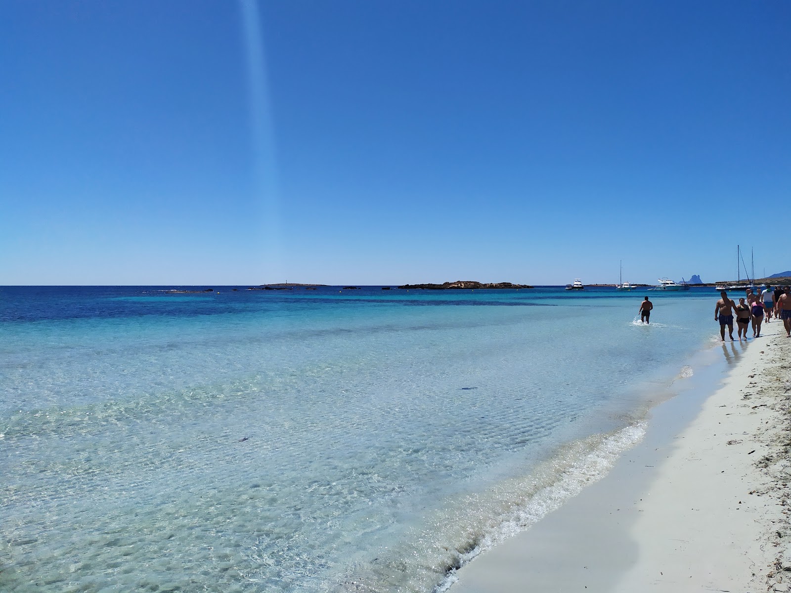 Platja de S'Alga'in fotoğrafı doğal alan içinde bulunmaktadır