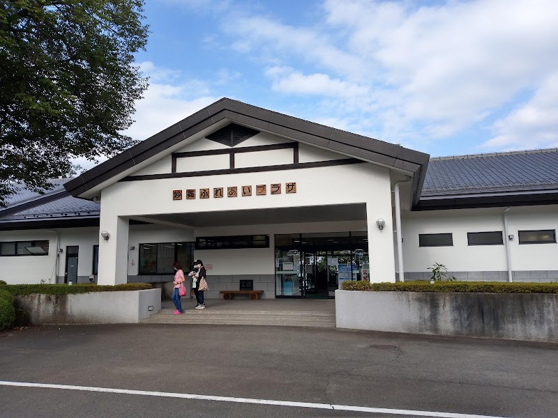 高崎クリスマスローズガーデン 群馬県高崎市下里見町 植物園 グルコミ