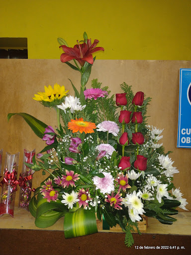 Florerías en Morelos (Trancas), Nayarit: Entrega a Domicilio y Servicio 24 Horas