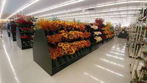 Craft Store «Hobby Lobby», reviews and photos, 12950 Cortez Blvd, Brooksville, FL 34613, USA