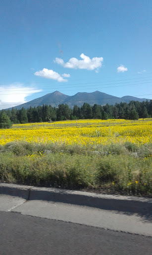 Tool Store «Harbor Freight Tools», reviews and photos, 6135-3 N 35th Ave, Phoenix, AZ 85017, USA