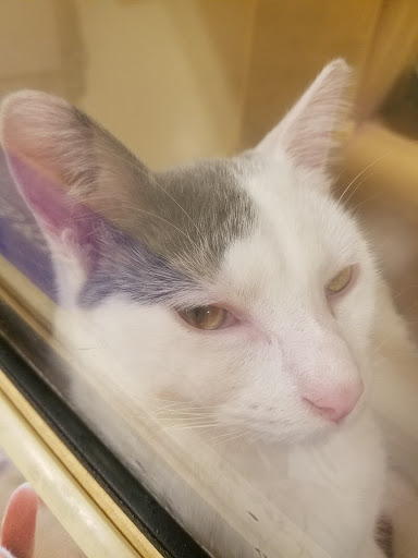 Pet Supply Store «PetSmart», reviews and photos, 1460 Koester Rd, Forsyth, IL 62535, USA