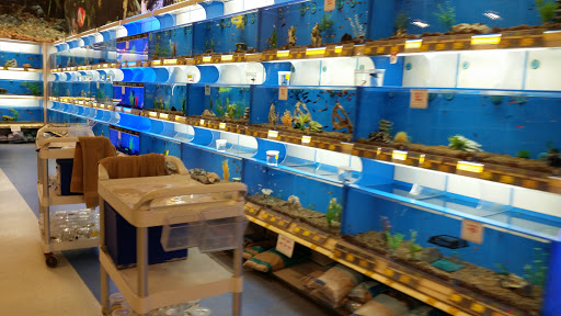 Pet Supply Store «PetSmart», reviews and photos, 7 U.S. 9, Manalapan Township, NJ 07726, USA