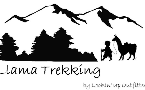 Llama Trekking by Lookin Up Outfitters image