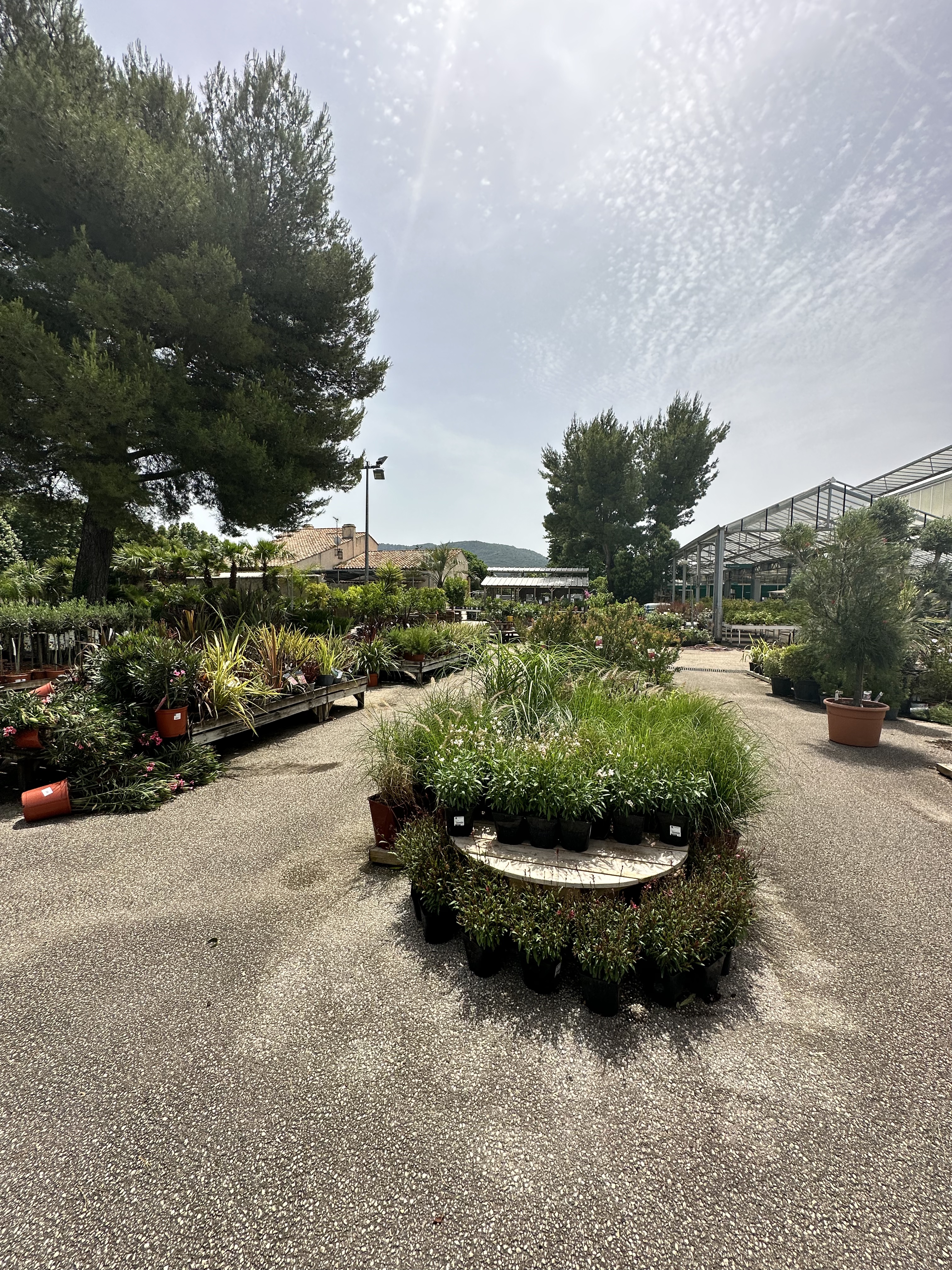 Photo n° 5 de l'avis de Bernardo. fait le 20/06/2023 à 14:52