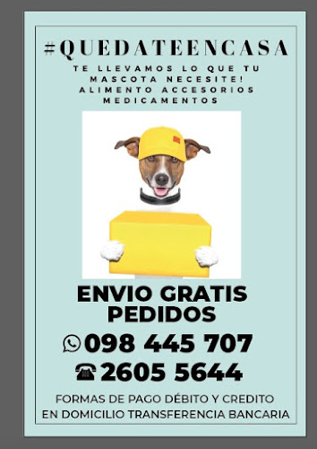 Clinica veterinaria pets - Montevideo