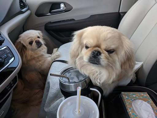 Caldwell, Holley G image