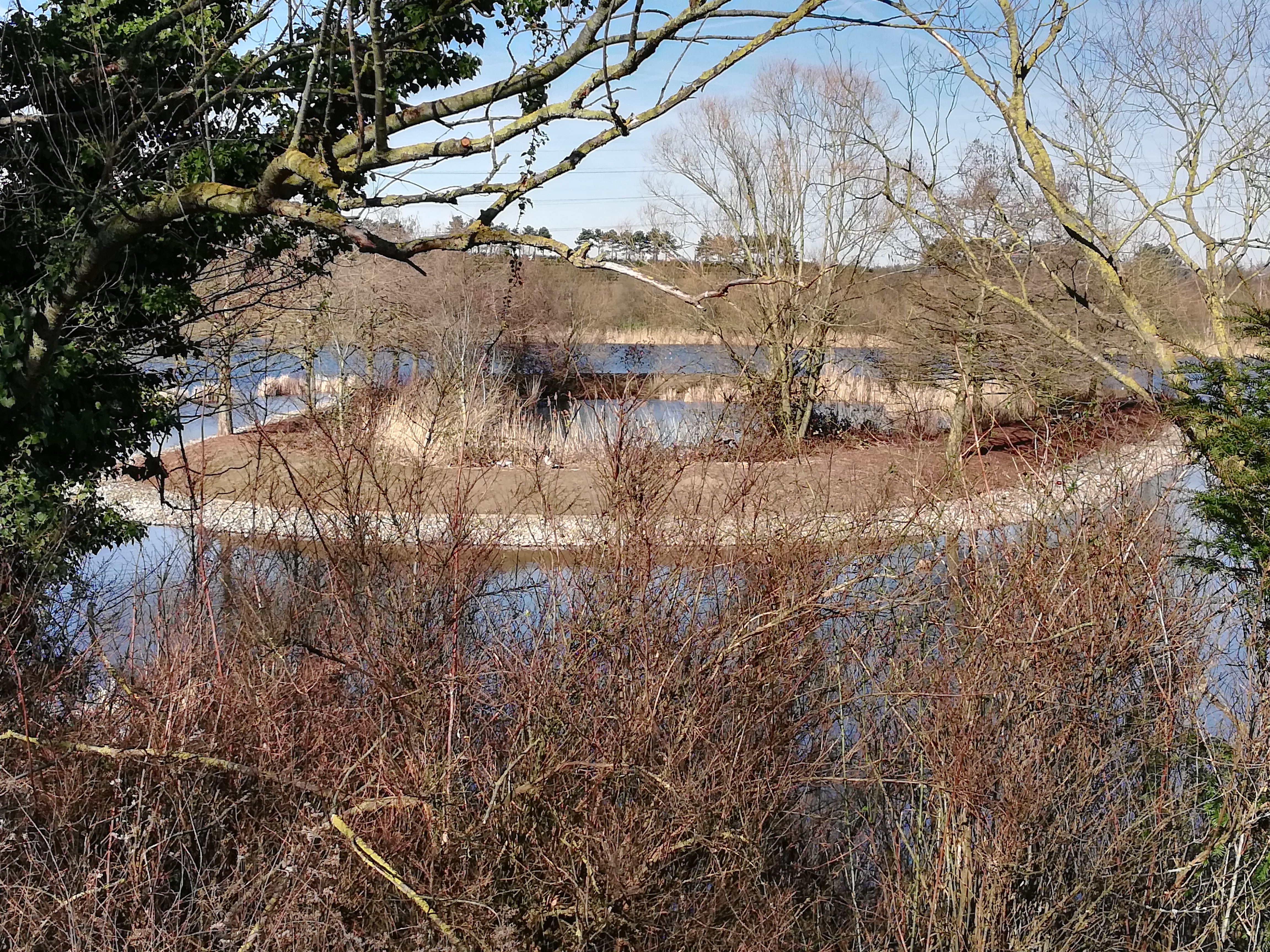 Photo n° 3 de l'avis de Jean-Michel.l fait le 19/02/2019 à 03:04