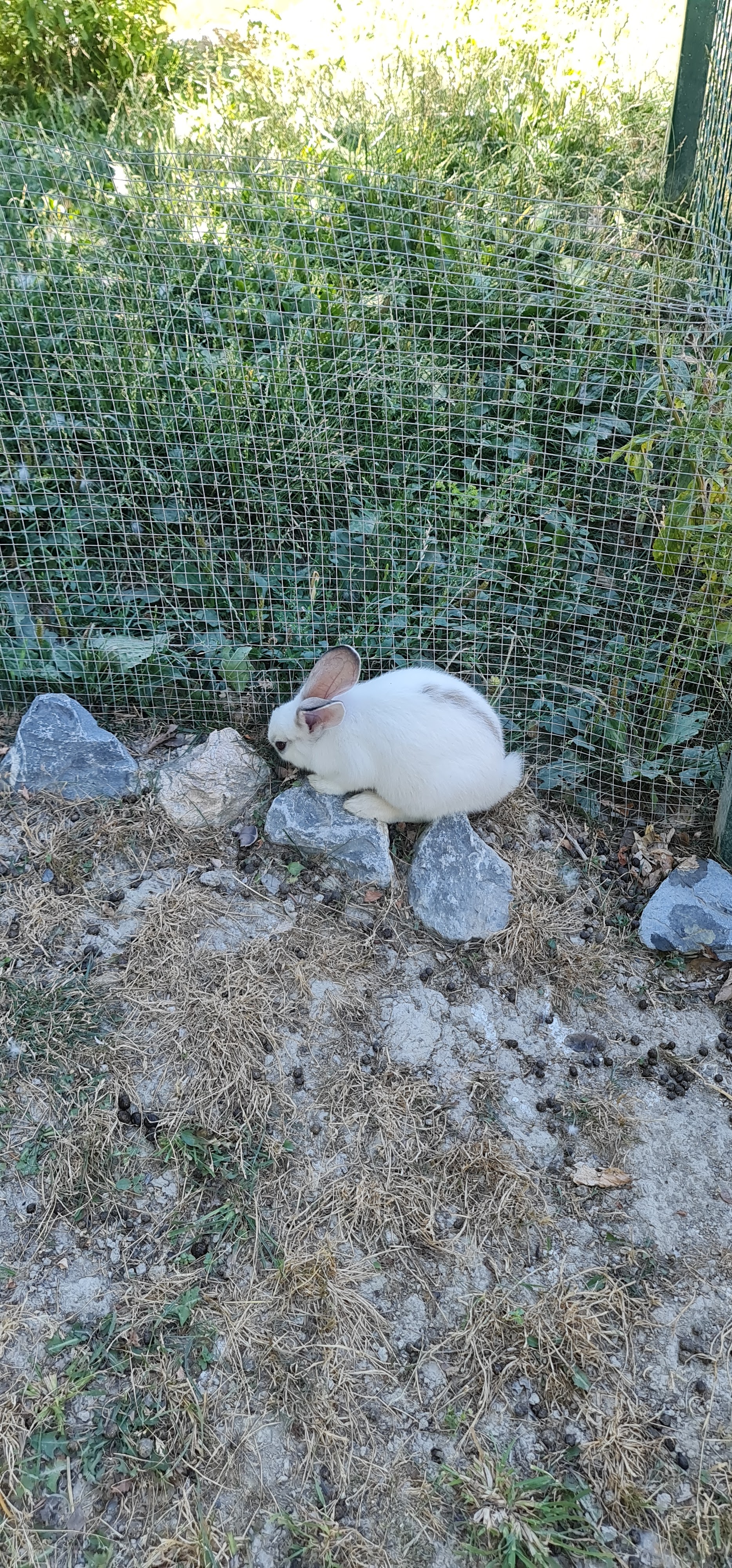 Photo n° 14 de l'avis de Julie.a fait le 03/08/2019 à 12:47