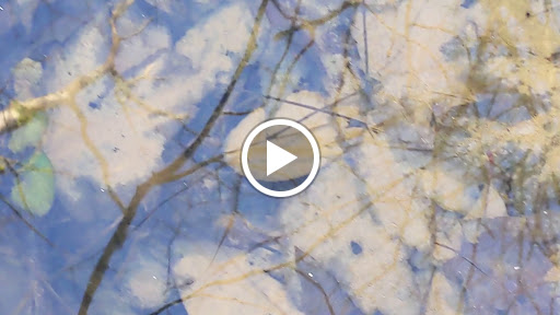 Nature Preserve «Beanblossom Bottoms Nature Preserve - Sycamore Land Trust», reviews and photos, N Woodall Rd, Ellettsville, IN 47429, USA