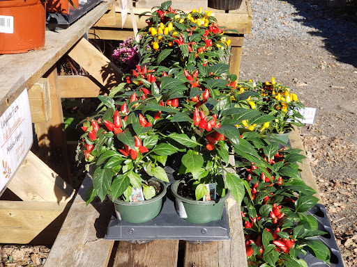 Farm «Langwater Farm», reviews and photos, 209 Washington St, North Easton, MA 02356, USA