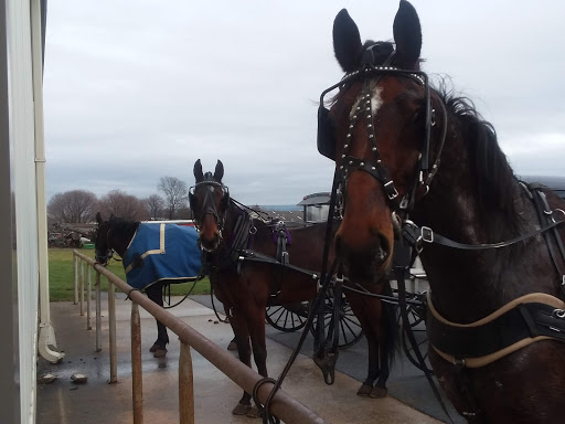 Gift Shop «Country Housewares Store», reviews and photos, 589 Musser School Rd, Leola, PA 17540, USA