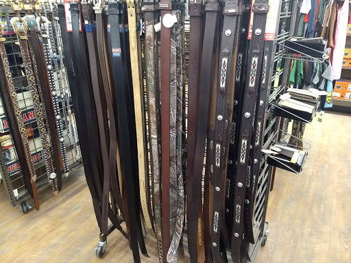 Home Improvement Store «Tractor Supply Co.», reviews and photos, 1159 OH-32, Batavia, OH 45103, USA