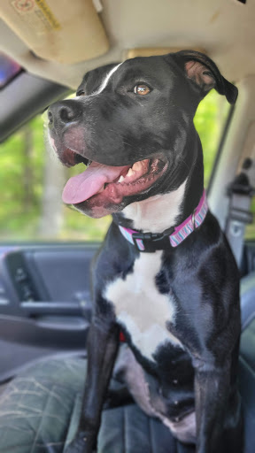 502 Mcmillan Ln, Greenville, NC 27834, USA