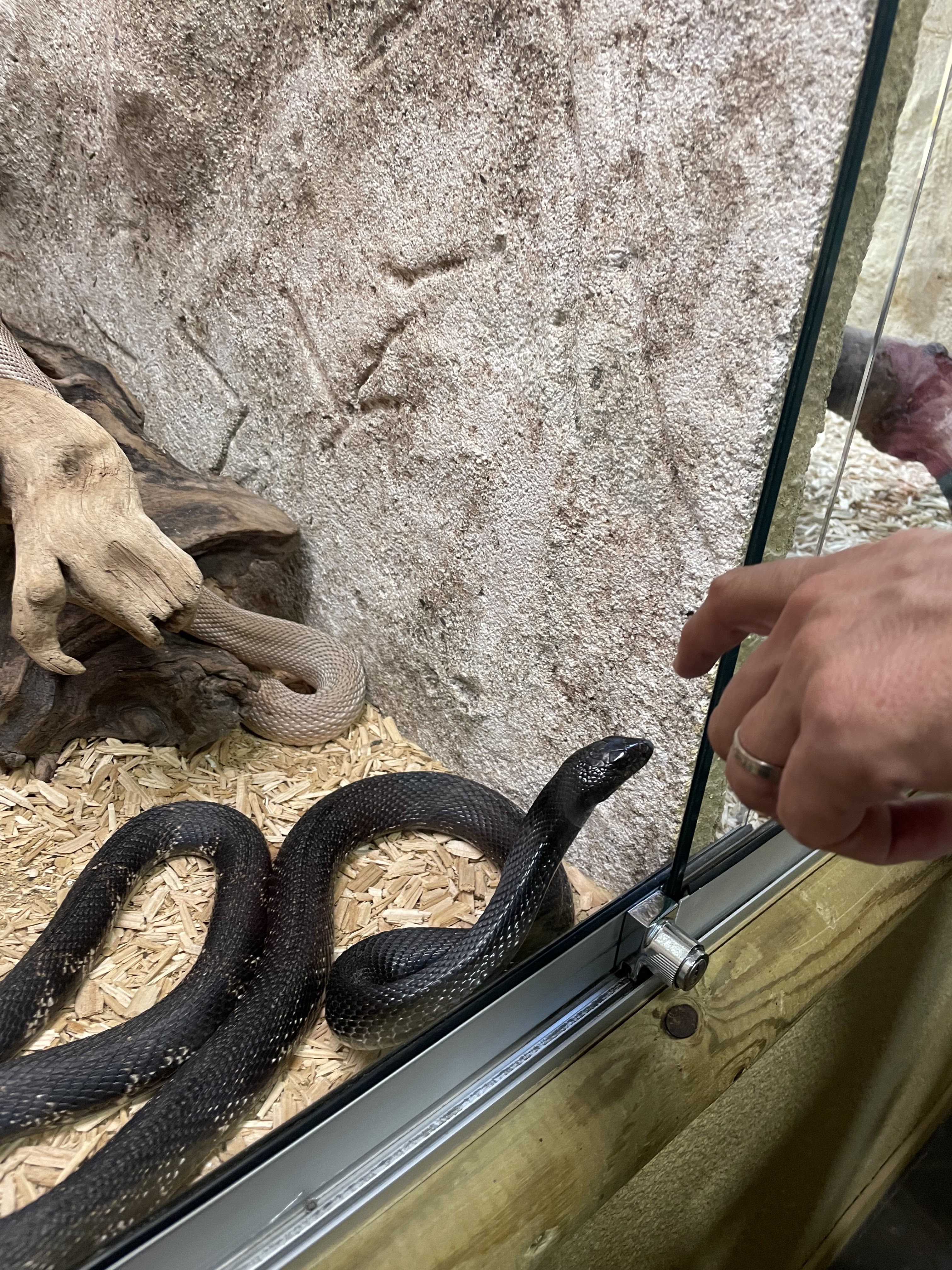 Photo n° 2 de l'avis de Florian.n fait le 05/08/2023 à 16:00