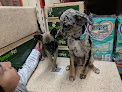 Jollyes - The Pet Superstore Sheffield