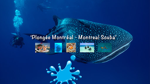 Plongée Total Diving - Montreal Scuba