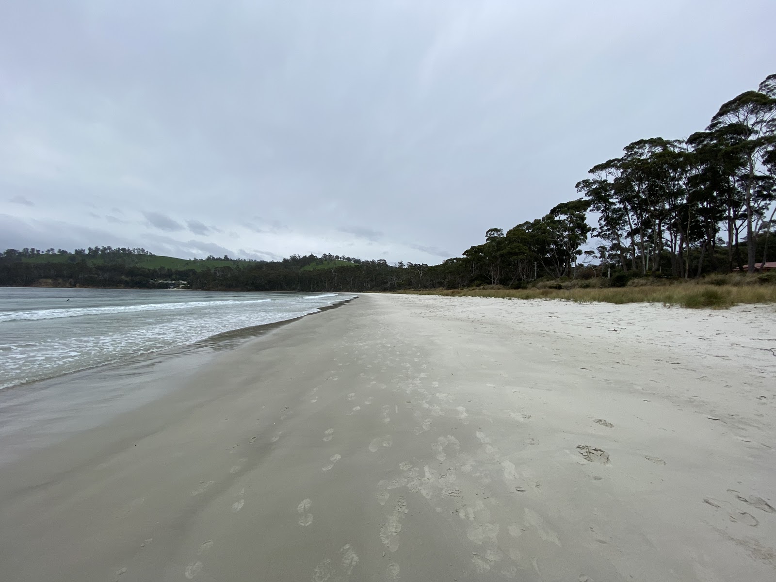 Little Roaring Bay Beach photo #8