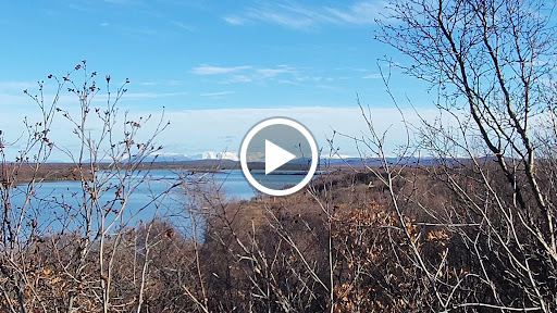 National Park «Katmai National Park and Preserve», reviews and photos