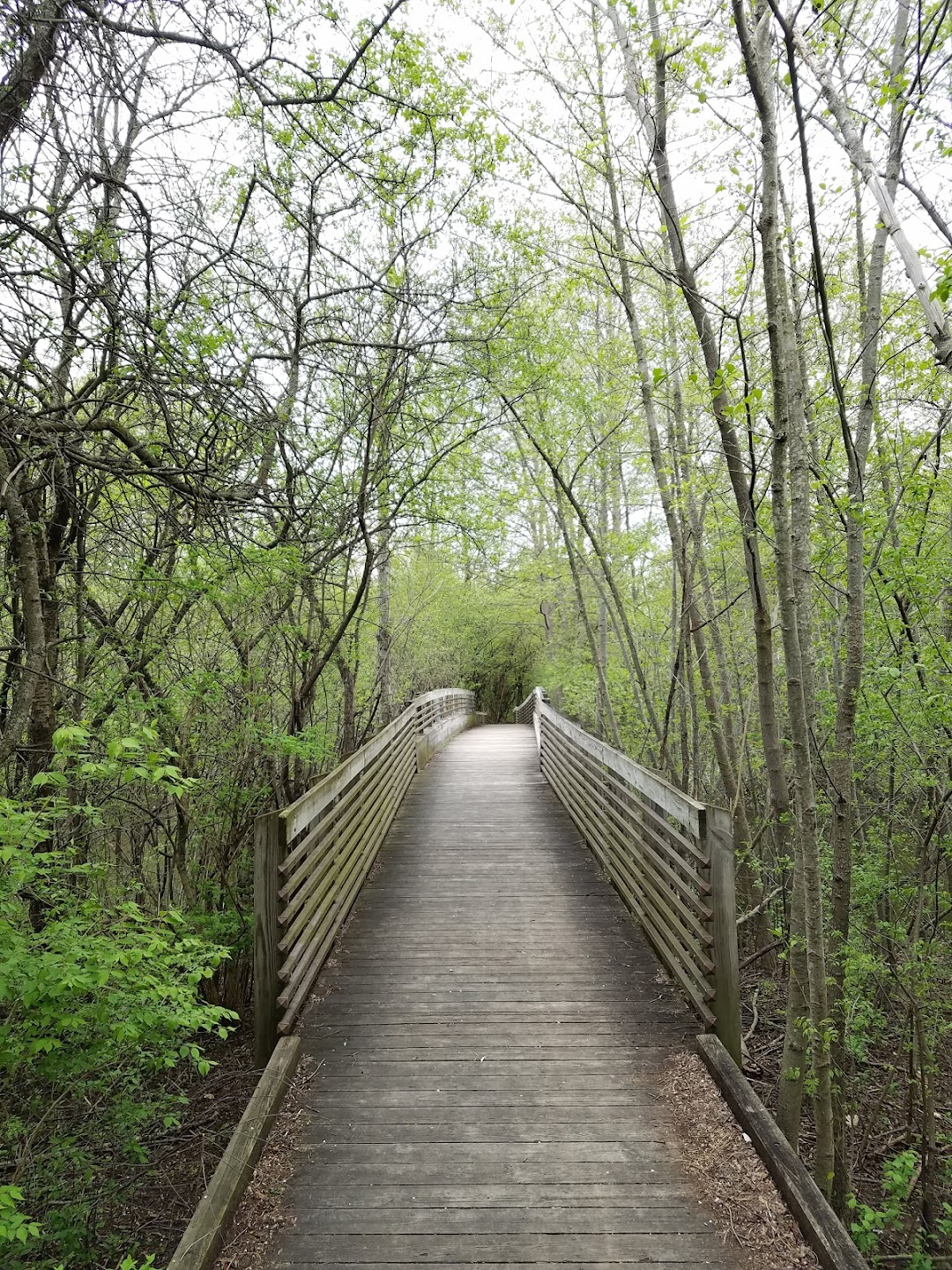 Furstenberg Nature Area