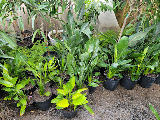 Florist «Little Eden Plantscaping», reviews and photos, 15550 W 72nd Ave, Arvada, CO 80007, USA