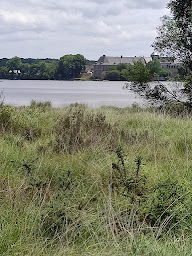 Photo n°2 de Café Librairie Quinte-Essence à Paimpont ()