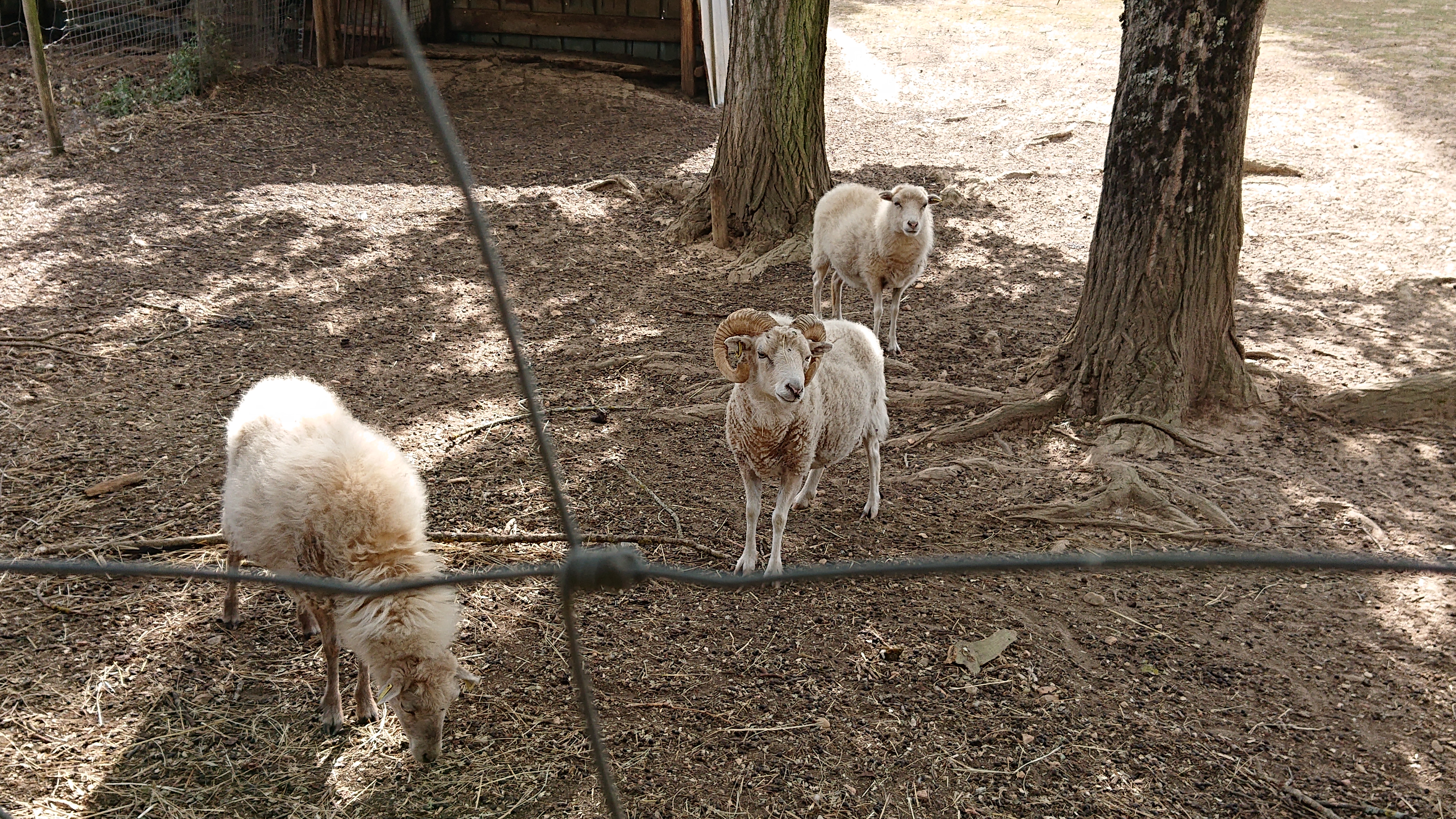 Photo n° 3 de l'avis de remi.e fait le 08/09/2019 à 11:31