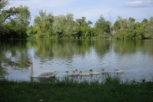 Jezero Savica image
