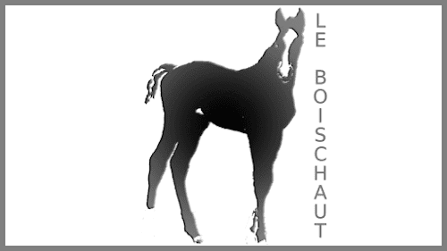 Éleveur de chevaux SCEA du Boischaut Saint-Christophe-du-Ligneron