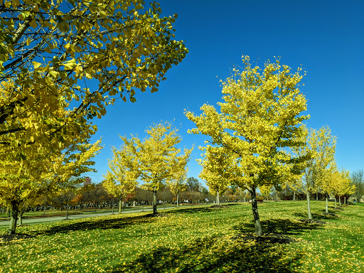 Community Center «Mason Community Center», reviews and photos, 6050 Mason Montgomery Rd, Mason, OH 45040, USA