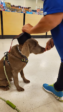 PetSmart - Photo 6 - Car repair in Dover, DE, Dover