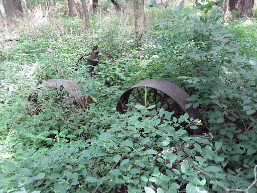 Nature Preserve «Meltzer Woods», reviews and photos, 1522 S 600 E, Shelbyville, IN 46176, USA