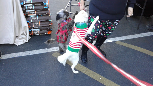 Pet Groomer «Collar & Leash Pet Shop», reviews and photos, 9772 Chapman Ave, Garden Grove, CA 92841, USA