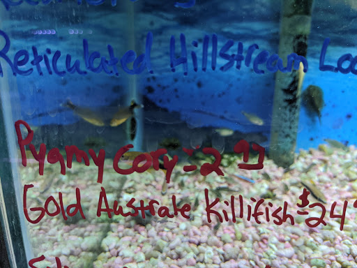 Pet Store «Pet Connection», reviews and photos, 29551 Five Mile Road, Livonia, MI 48154, USA