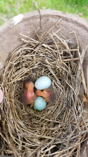 Golf Course «3 Lakes Golf Course», reviews and photos, 6700 Saltsburg Rd, Pittsburgh, PA 15235, USA