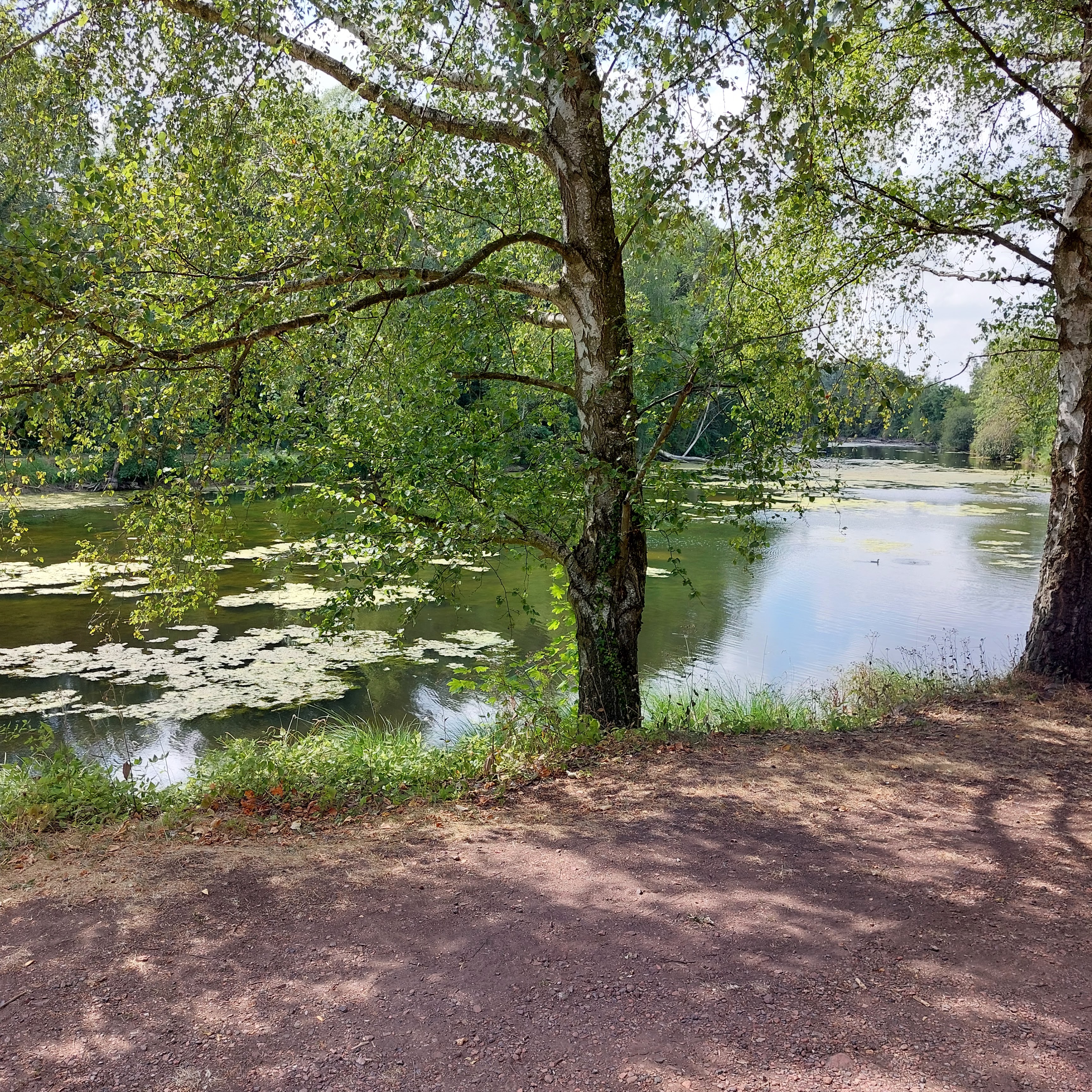 Photo n° 2 de l'avis de Alfa.l fait le 15/08/2022 à 17:09