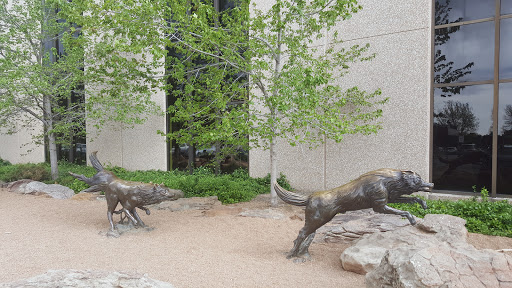 Natural History Museum «Denver Museum of Nature & Science», reviews and photos, 2001 Colorado Blvd, Denver, CO 80205, USA