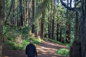 Sequoia Creek Trailhead image