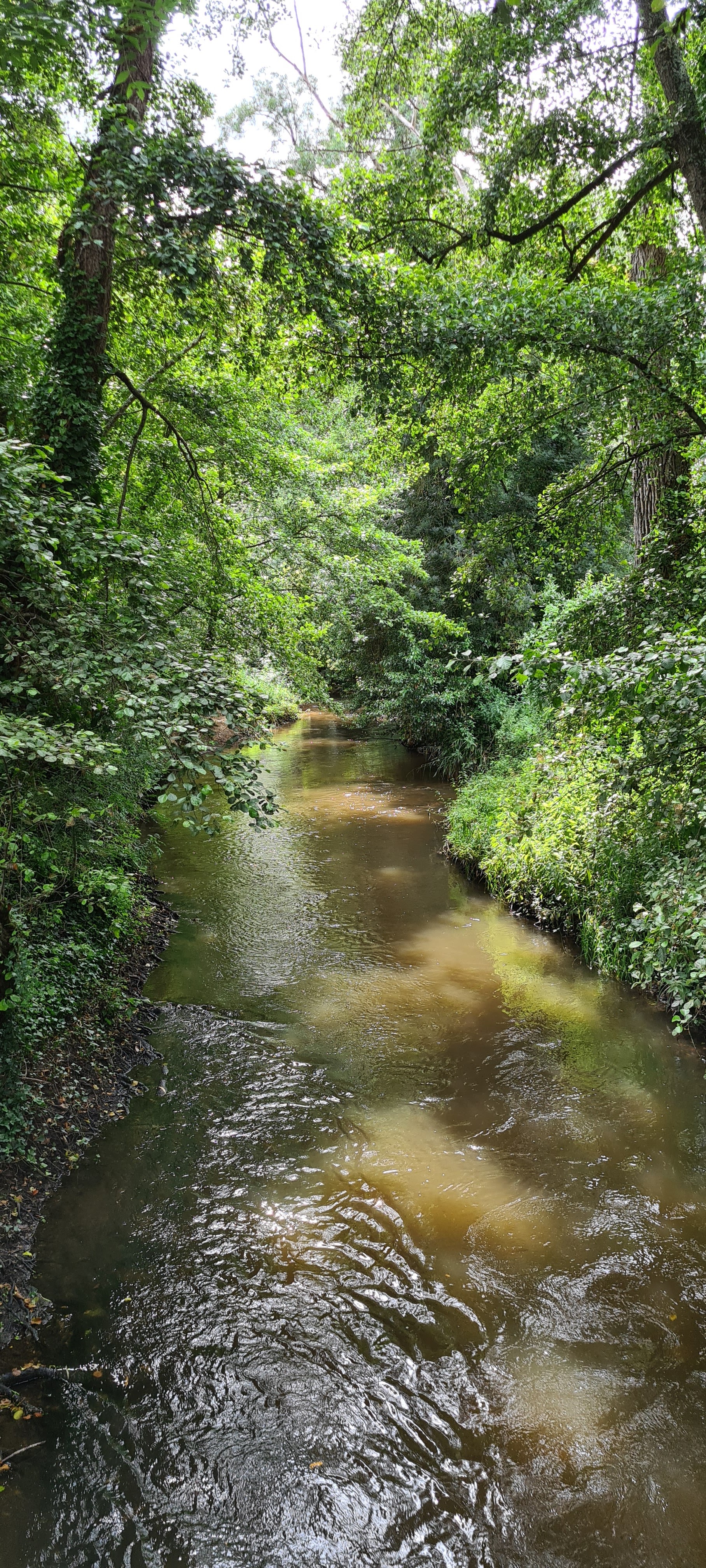 Photo n° 2 de l'avis de Carine.e fait le 11/07/2021 à 10:50