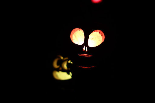 Zoo «Jack-O-Lantern Spectacular», reviews and photos, 1000 Elmwood Ave, Providence, RI 02905, USA
