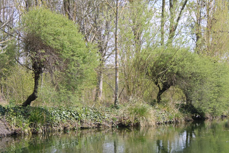 Photo n° 30 de l'avis de Eugenie. fait le 03/05/2023 à 08:39