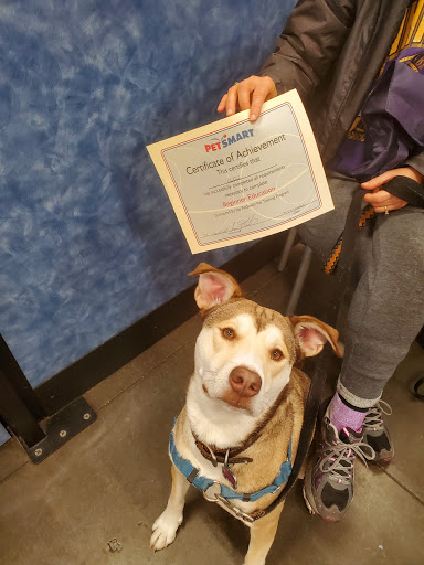 Pet Supply Store «PetSmart», reviews and photos, 2705 E Bidwell St, Folsom, CA 95630, USA