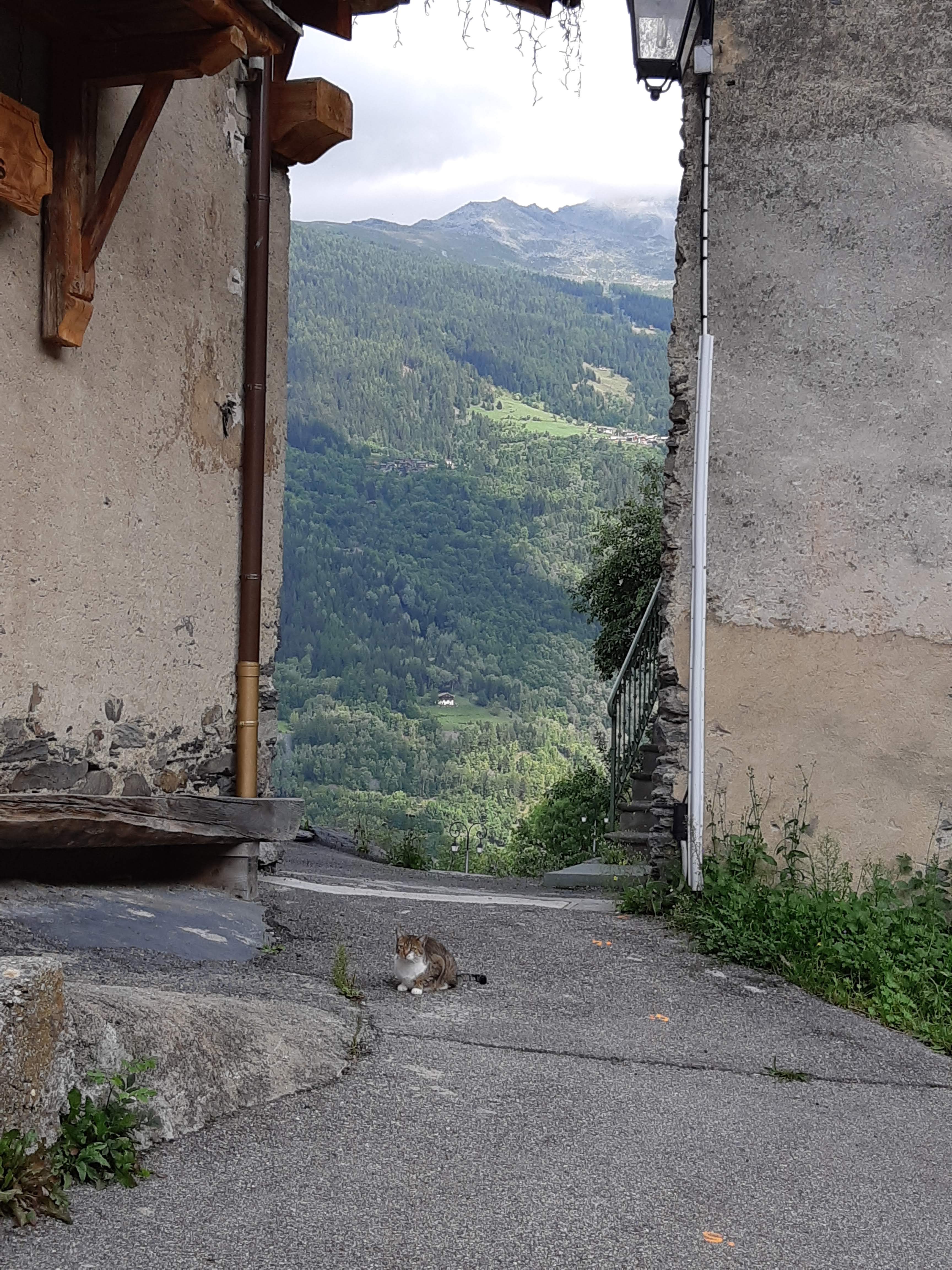 Photo n° 15 de l'avis de Michelle.a fait le 20/09/2018 à 21:44